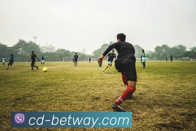 BETWAY体育官网平台生态图